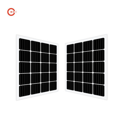 качество  Rixin CE BIPV Solar Panels Transparent Glass Monocrystalline PV Module завод